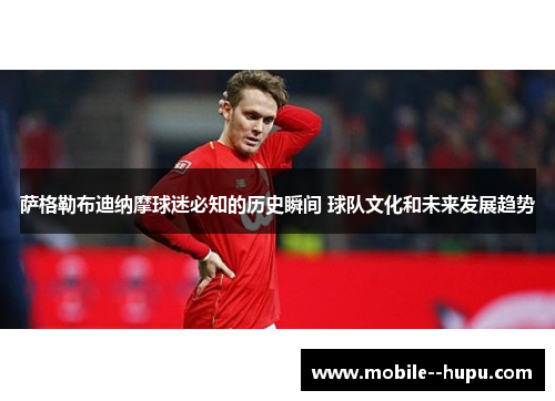 萨格勒布迪纳摩球迷必知的历史瞬间 球队文化和未来发展趋势