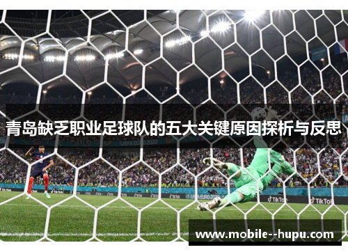 青岛缺乏职业足球队的五大关键原因探析与反思
