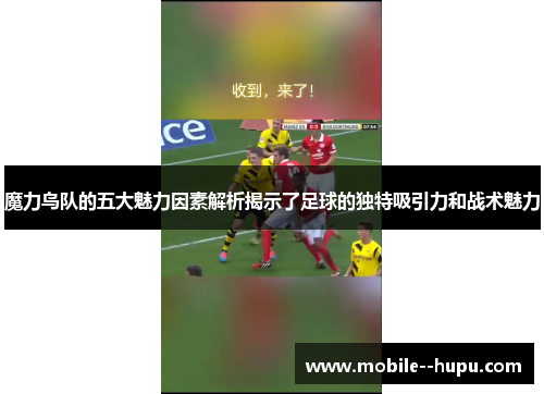 魔力鸟队的五大魅力因素解析揭示了足球的独特吸引力和战术魅力