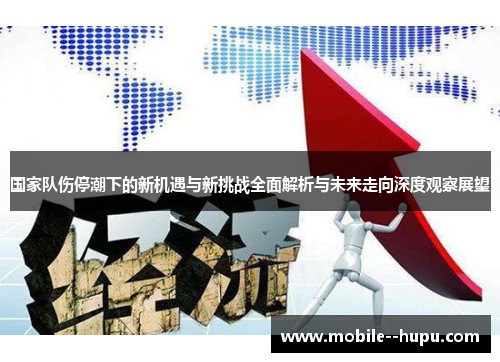 国家队伤停潮下的新机遇与新挑战全面解析与未来走向深度观察展望