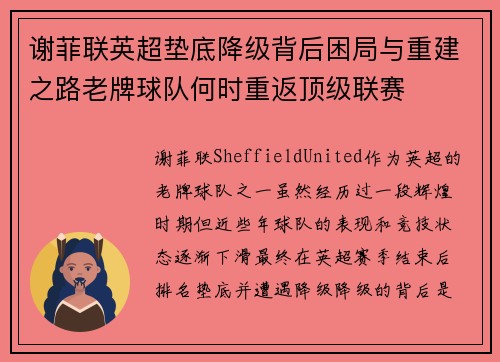 谢菲联英超垫底降级背后困局与重建之路老牌球队何时重返顶级联赛
